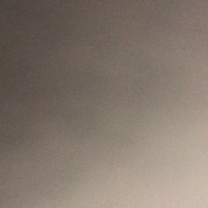 Meet your Posher, Beau